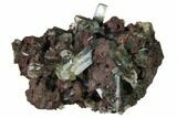 Apophyllite Crystals w/ Celadonite Inclusions -India #168964-1